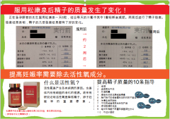 男性精子与松瘤