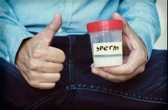 一枚优秀的精子应具备“高颜值”，“高活力