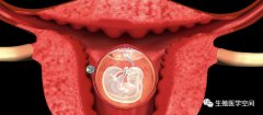 卵巢早衰还有自怀的可能吗？