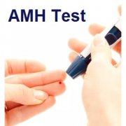 AMH能预测试管婴儿成功吗？
