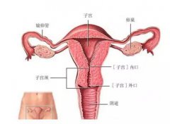 宫颈环扎的保胎措施
